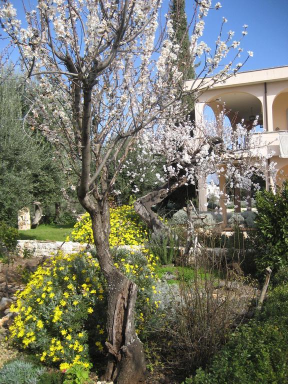 Masseria Due Torri Монополи Номер фото