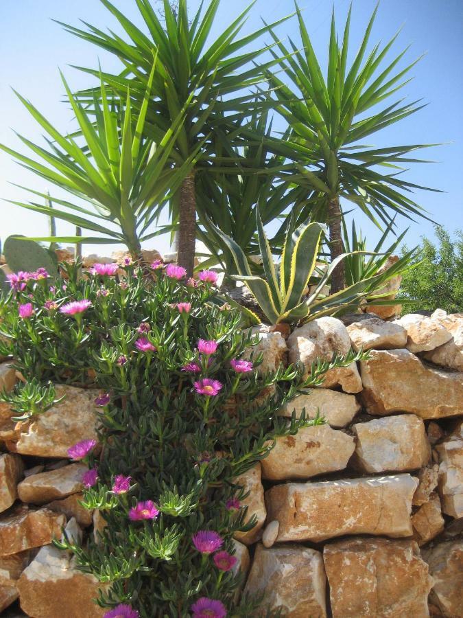 Masseria Due Torri Монополи Экстерьер фото